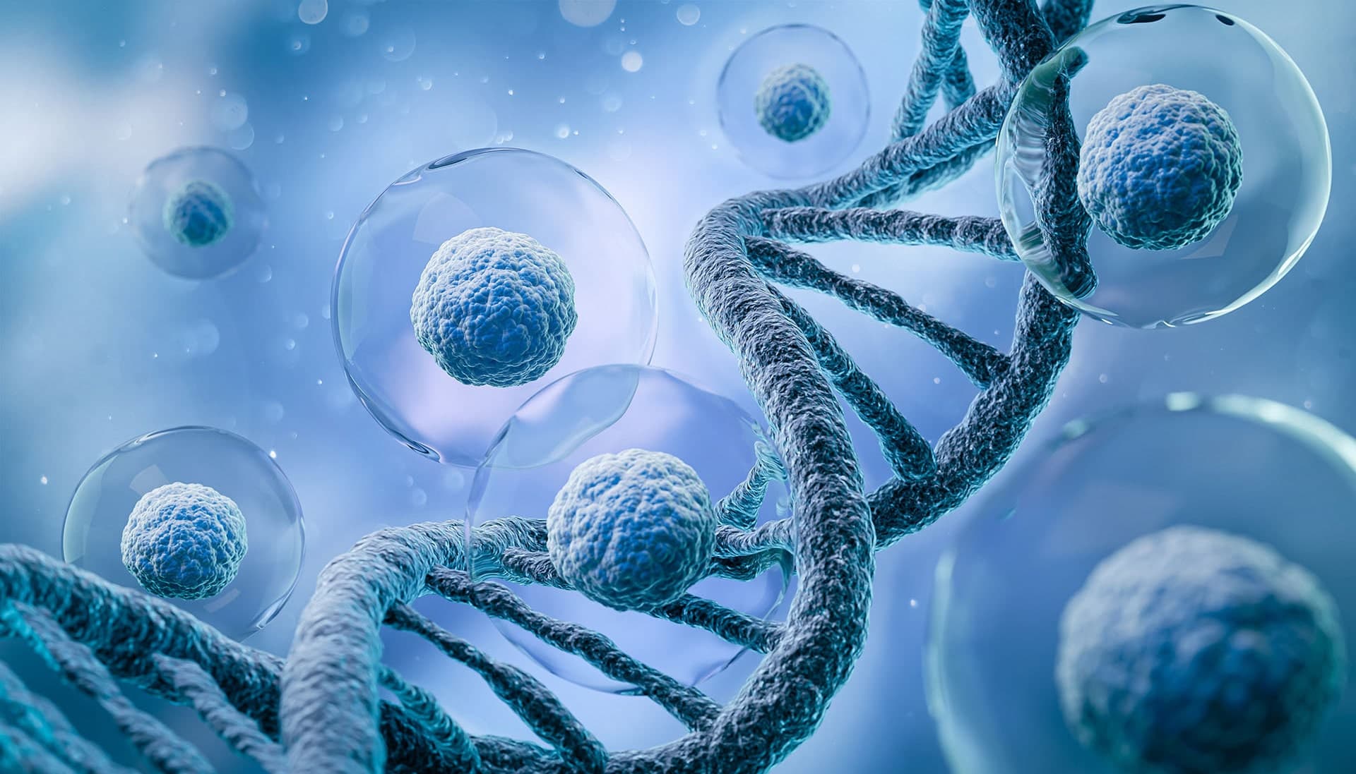 Stem cells background