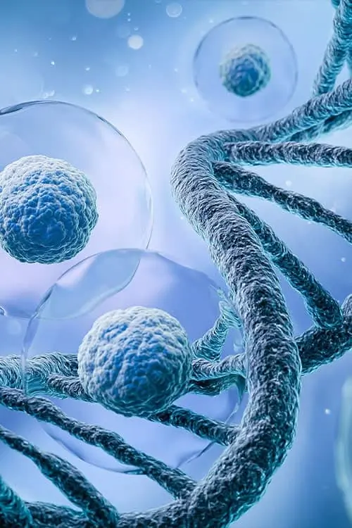 Stem cells background
